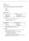 Werkles Sociale Ongelijkheid &vert; Sociologie &vert; 2025&sol;26