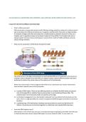 CS 6250 QUIZ 10 &vert; QUESTIONS AND ANSWERS &vert; 2026 UPDATE &vert; WITH COMPLETE SOLUTIONS - GIT&period;