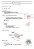 Samenvatting van het vak neurowetenschappen&comma; bevat zowel het luik neuroanatomie als neurofysiologie