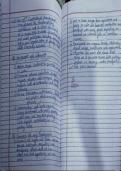 Social Science Study Guide &vert; 9th Grade &vert; 2025&sol;2026