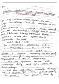 Irreversible thermodynamics 