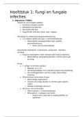 Gastcollege fungi en fungale middelen - Microbiologie & infectieziekten 