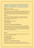 Anatomy and Physiology and Human Body Systems &NewLine;Practice Exam questions and correct answers&period;