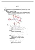 NSG 318&vert; Exam 2 &vert; Updated RATED A&plus; &vert; New Rated A&plus; &vert; Grand Canyon University