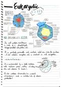 Latest Preview Thumbnail