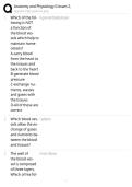 Anatomy and Physiology II Exam 2 Review Complete Study Guide and Exam Preparation