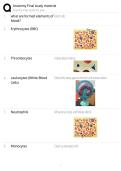 Anatomy Final Study Material Complete Review Guide&comma; Notes&comma; and Exam Preparation