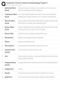 Essentials of Human Anatomy and Physiology Chapter 4&colon; Complete Review and Study Guide