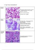 Cardiologie&comma; Oncologie&comma; Respiratie&comma; Neurologie &lpar;CORN&rpar; Overzicht Deel 2