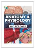 Anatomy and Physiology and Human Body &NewLine;Systems Practice Exam questions and correct &NewLine;answers&ndash; Updated 2026 &lpar;Graded A&plus;&rpar; instant &NewLine;download pdf 