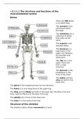 PE GCSE AQA Summary notes