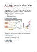 samenvatting functionele anatomie module 2 plexus brachialis