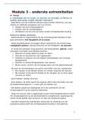 Functionele anatomie practicum &vert; Module 3 onderste extremiteiten &vert; KU Leuven &vert; 2025&sol;26