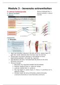 Functionele anatomie &vert; Plexus lumbosacralis &vert; KU Leuven &vert; 2025&sol;26