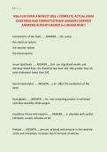 NSG-3130 EXAM 4 NEWEST 2026 &vert; COMPLETE  ACTUAL EXAM &NewLine;QUESTIONS AND CORRECT DETAILED ANSWERS &lpar;VERIFIED &NewLine;ANSWERS&rpar; ALREADY GRADED A&plus;&vert; BRAND NEW&excl;&excl; 