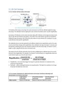 Summary -  Cell Biology 11 Grade