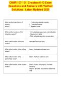 CNUR 107-101&colon; Chapters 6-10 Exam&NewLine;Questions and Answers with Verified&NewLine;Solutions &vert; Latest Updated 2026