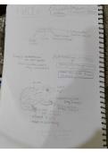 Frog topic best notes &lpar;neet also&rpar;pdf 