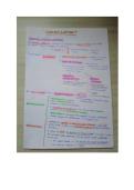 Latest Preview Thumbnail