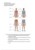 Anp1106- Winter 2025 Mastering A&P Questions And Answers&vert; 2026 Updated &vert; 100&percnt; Correct - University Of Ottawa&period;