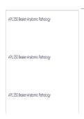 APL 250 Beaker Anatomic Pathology QUESTION S AND CORRECT ASNSWERS&period;pdf