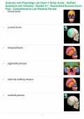 Anatomy and Physiology Lab Exam 2 Study Guide - Verified Questions and Answers - Graded A&plus; - Guaranteed Success Exam Prep - Comprehensive Lab Practical Review