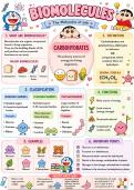 Class 12 Chemistry Chapter 14 - Biomolecules &vert; Complete Cute Infographic Notes &vert; Carbohydrates&comma; Proteins&comma; DNA&comma; Enzymes&comma; Vitamins with Diagrams &vert; CBSE 2026