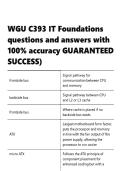 WGU C393 IT Foundations questions and answers with 100- accuracy GUARANTEED SUCCESS&rpar;&period;
