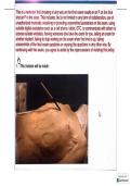 westcott anatomy labs question and answers 
