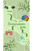 Latest Preview Thumbnail