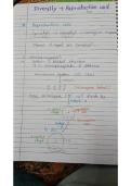 Pack of notes 
