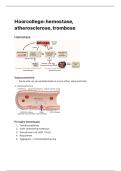 Hoorcollege hemostase&comma; atherosclerose&comma; trobose