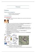 Parasitologie&colon; Protozoa &vert; Universiteit Gent &vert; 2025&sol;26