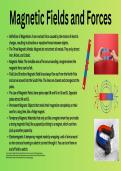 Magnetic Forces Presentation &lpar;with memes&rpar;