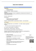 Samenvatting Didactisch Handelen &lpar;1ste jaar&comma; sem 1&rpar; 