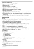 Latest Preview Thumbnail