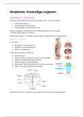 Anatomie&colon; inwendige organen &vert; UA &vert; 2025&sol;26