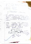Biology locomotion and movement chapter