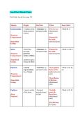 Leg & Foot Muscles &ndash; Trail Guide To The Body&lpar;Page 359&rpar; &ndash; Leg & Foot Muscle Chart Study Summary