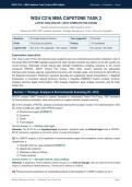 WGU C216 MBA CAPSTONE TASK 2 &vert; LATEST 2026 UPDATE &vert; WITH COMPLETE SOLUTIONS&period;