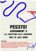 PES3701 Assignment 3 Memo &vert; Due 31 July 2026