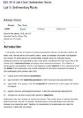 ESS 101B Lab 5 Quiz&colon; Sedimentary Rocks &vert; Comprehensive Questions with Verified Answers and Explanations