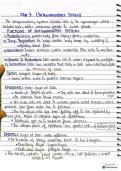 Bs Anatomy-Integumentary system