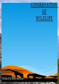 Latest Preview Thumbnail