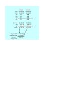 document-image