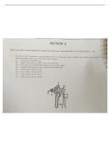 10th class cbse science model paper&NewLine;
