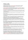 document-image
