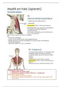 document-image