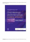 Test Bank For Essentials of Oral Histology and Embryology&colon; A Clinical Approach 6th Edition by Daniel J&period; Chiego Jr &lpar;All Chapters 1-16&rpar;