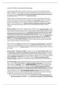 document-image